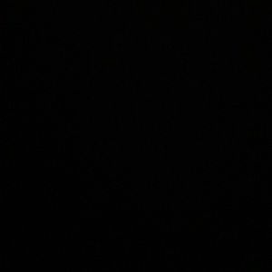 Meet your Posher, Bella